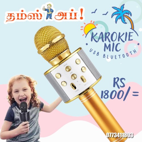 karokie-mic-children.jpeg